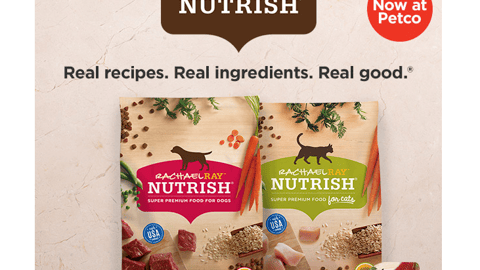 Petco Rachael Ray Nutrish 'Has Arrived' Email